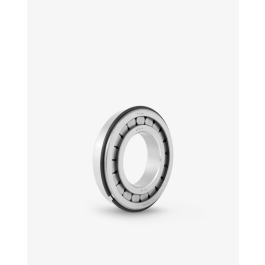 Подшипник дифференциала Fersa Bearings F19081