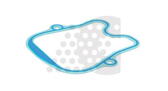 Прокладка крышки клапанной MAN F2000 CONSAN 02121280