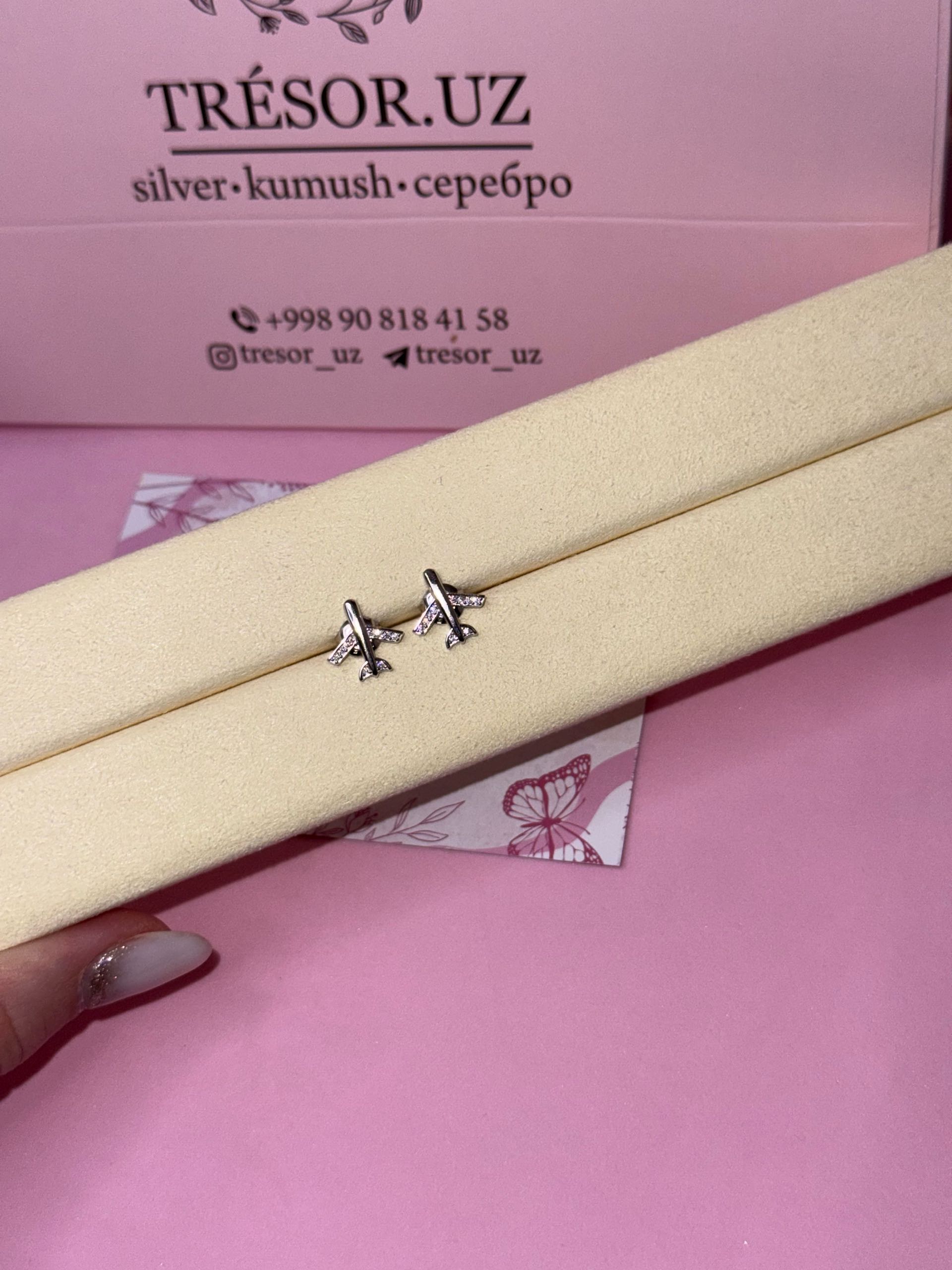 пусеты самолетики