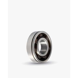 Шариковые подшипник Fersa Bearings F18020