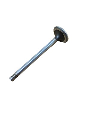 Клапан впускной МХ11 440HP XF106 TETIK DAF-117