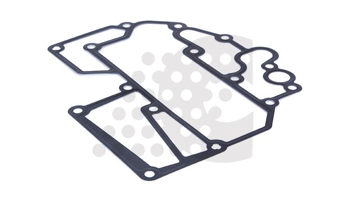 Прокладка масляный радиатор TGS CONSAN 02160480