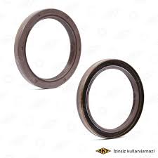 Сальник SKT 045990-V (55*70)