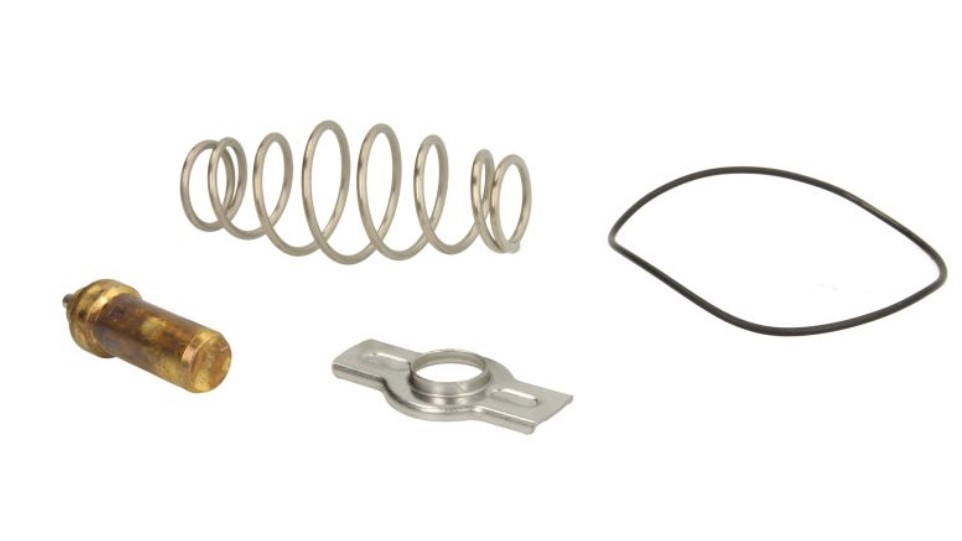 Термостат IVECO LEMA 451479