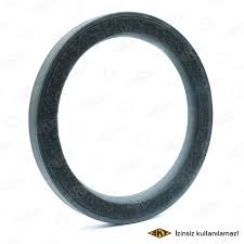 Сальник  коленчатого вала 100x124x12 DAF SKT 410490-FPK